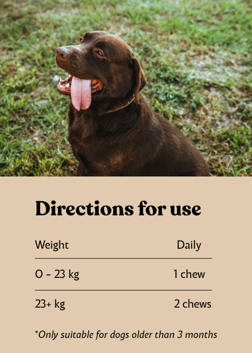 FV-12 | Multivitamin for Dogs with Yeast & Itchy Skin