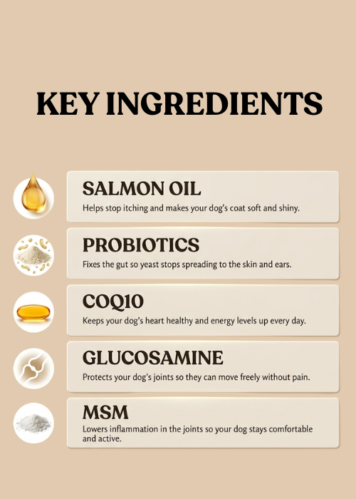 FV-12 | Multivitamin for Dogs with Yeast & Itchy Skin