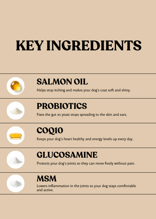 FV-12 | Multivitamin for Dogs with Yeast & Itchy Skin