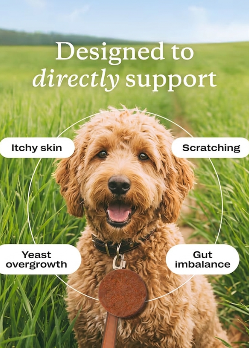 FV-12 | Multivitamin for Dogs with Yeast & Itchy Skin